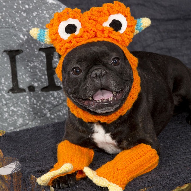 Dog Monster Costume