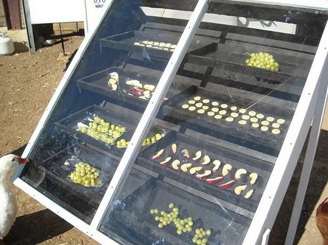 How To Make A Solar Food Dehydrator