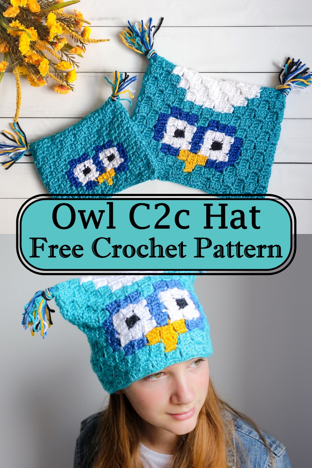 Owl C2c Hat