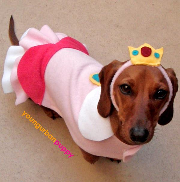 Peach Dog Costume Idea
