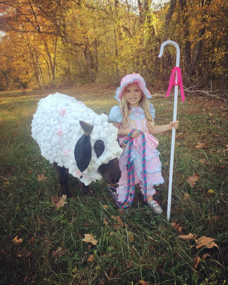 Little Peep And Sheep Costume