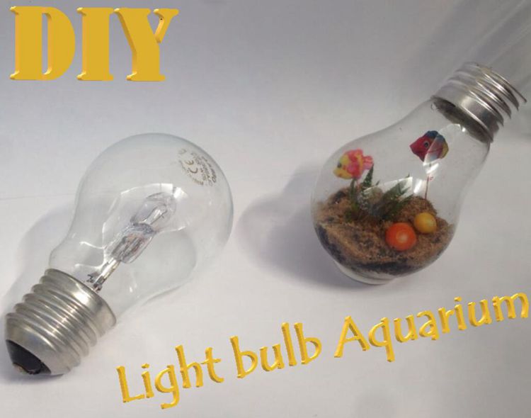 Aquarium In Lightbulb