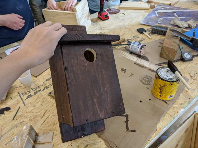 Bluebird House DIY