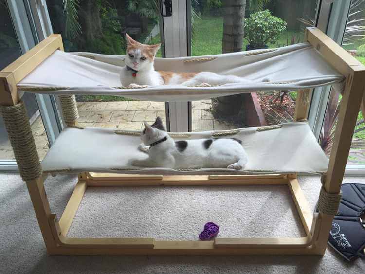 Build Bunk Bed Hammock For kittens