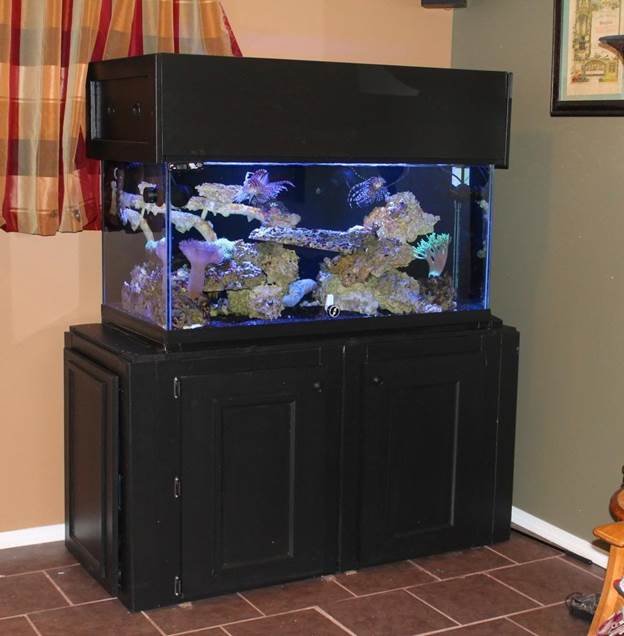 Building An Aquarium Stand