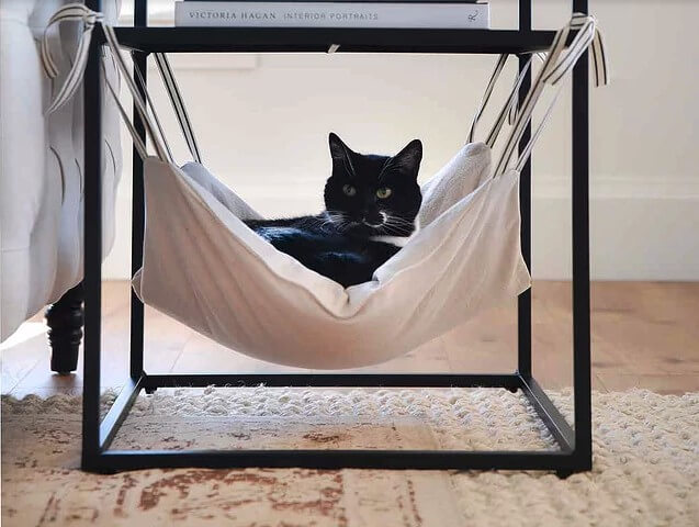 Cat Hammock DIY