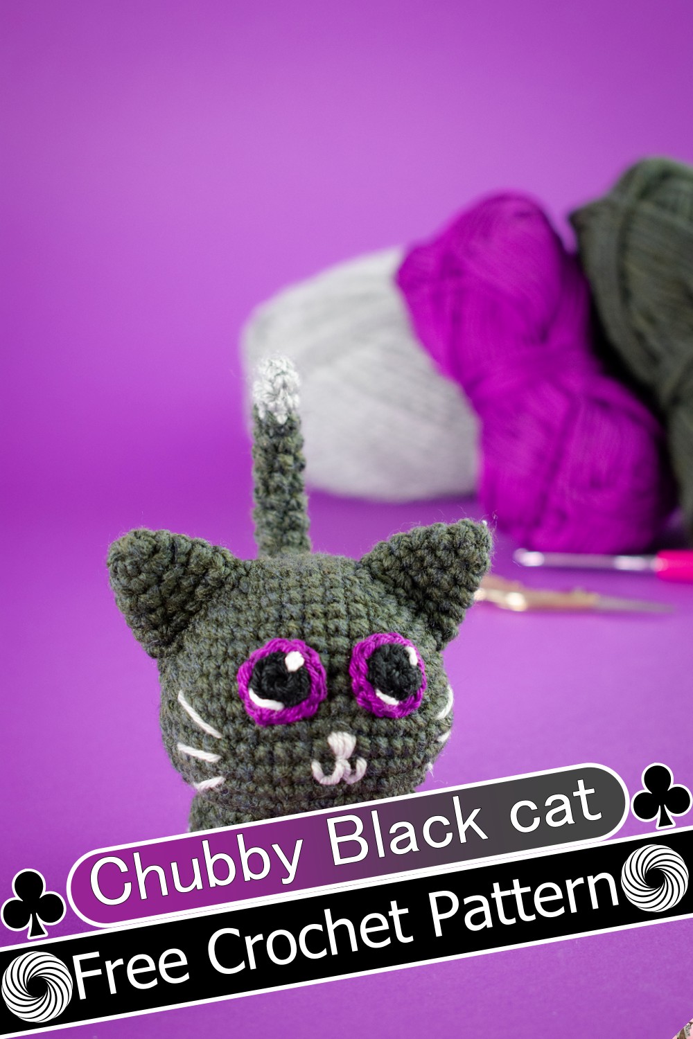 Chubby Black cat