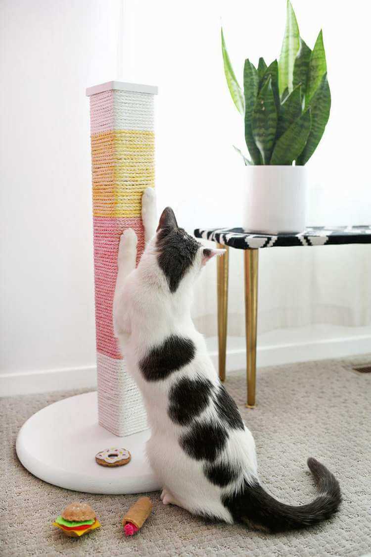Colorblocked Cat Scratching Post