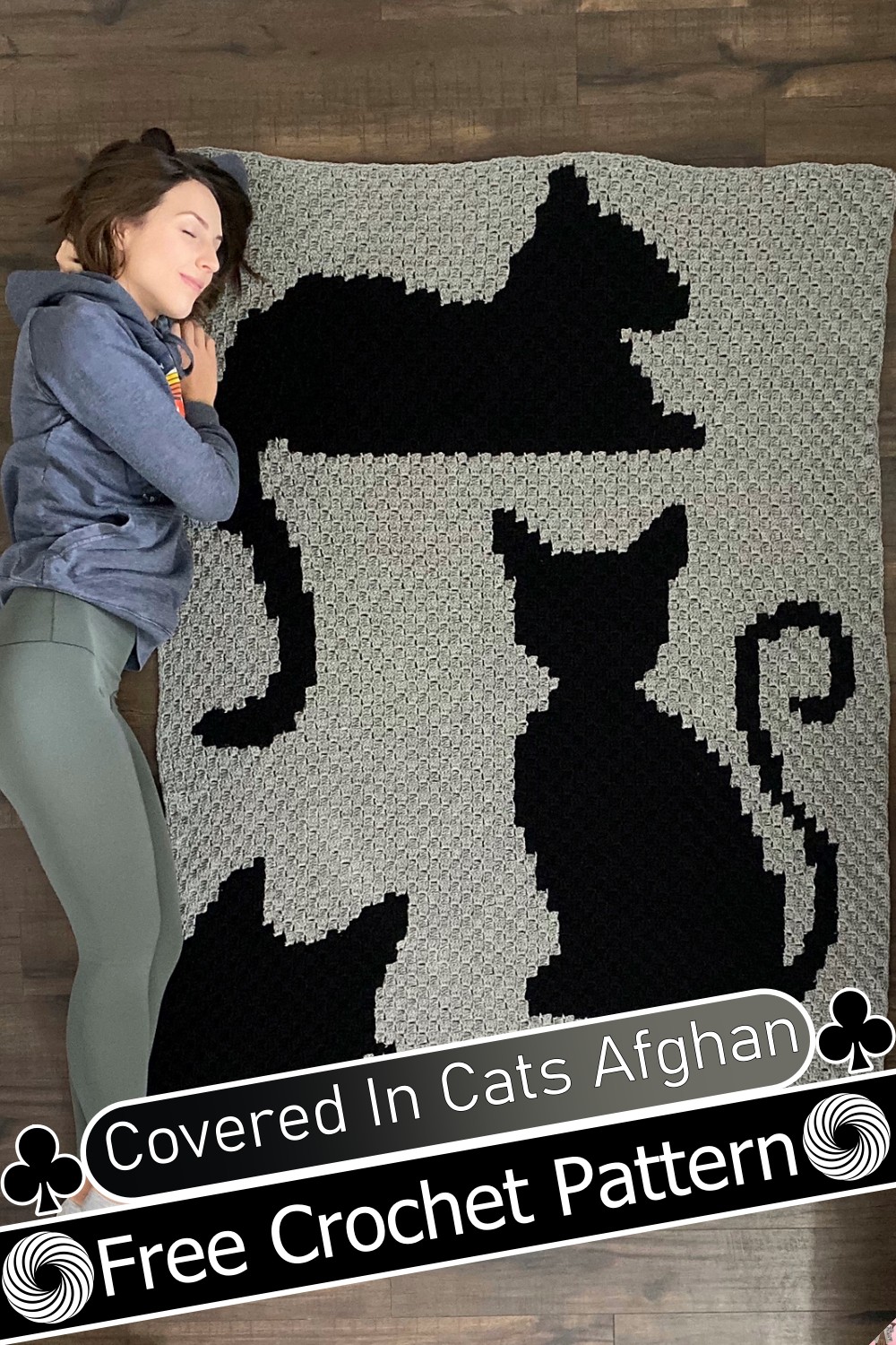 Covered In Cats Afghan