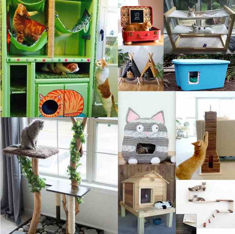 Creative Cat House Ideas