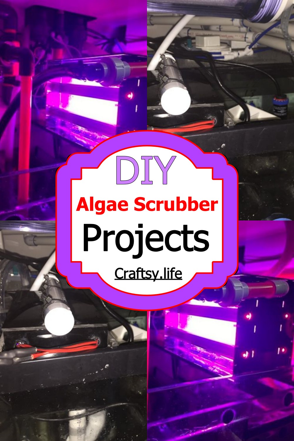 15 DIY Algae Scrubber Projects To Keep Aquarium Clean Craftsy