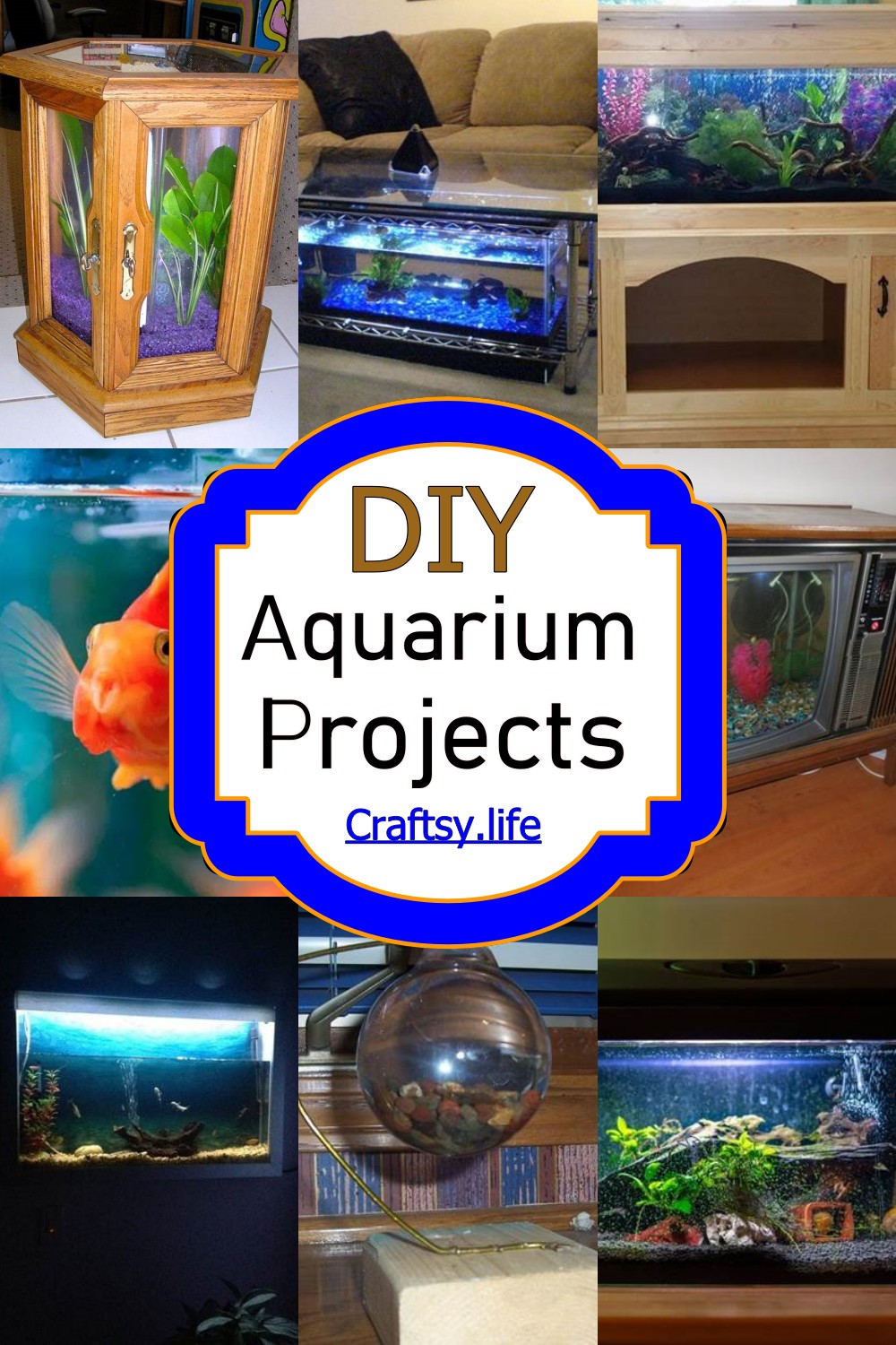 DIY Aquarium Projects