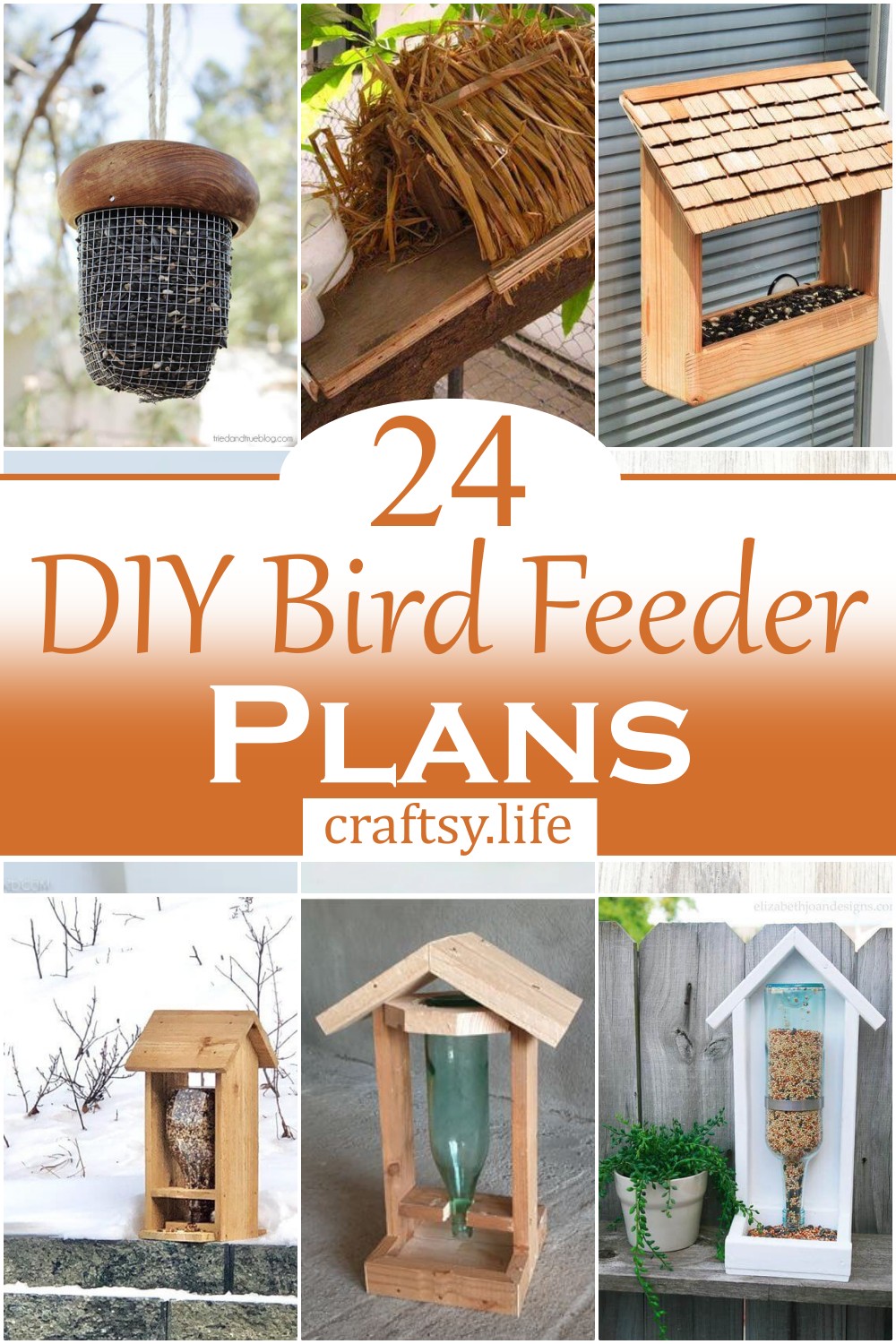 DIY Bird Feeder Plans