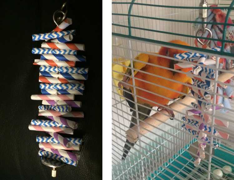 DIY Bird Toys With Straw