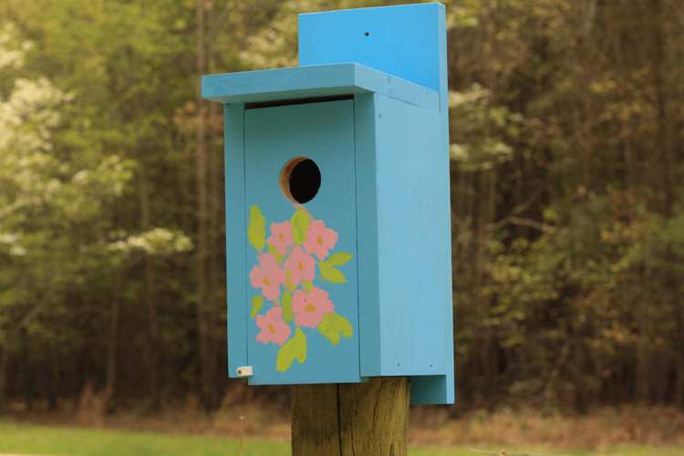 DIY Bluebird House