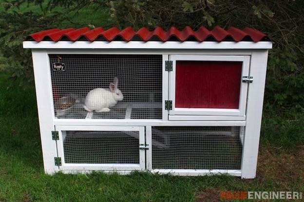 DIY Cage For Rabbit