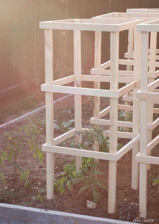 DIY Cages For Tomato