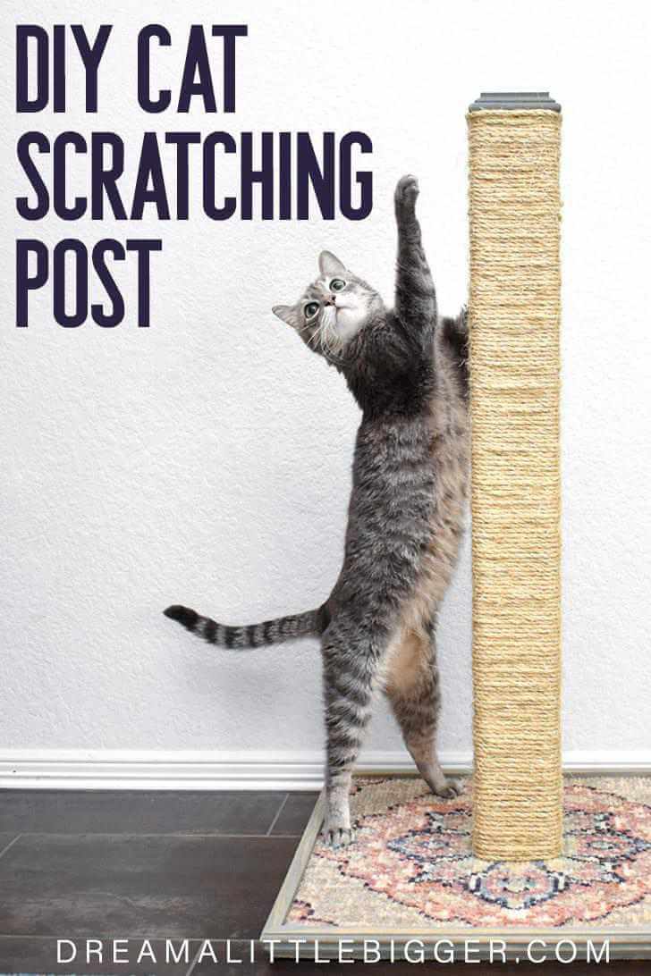 DIY Cat Scratching Pos