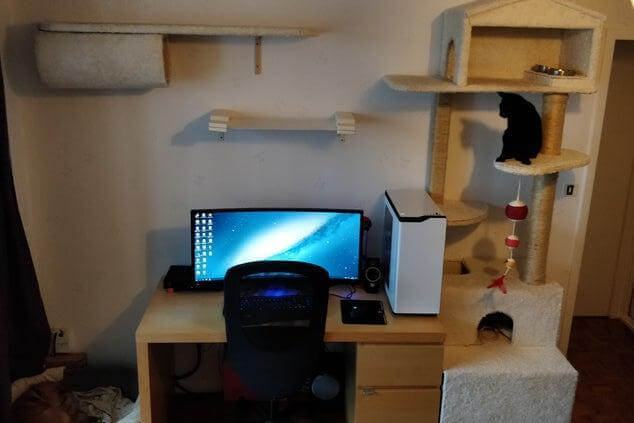 DIY Cat Tree Near Desktop