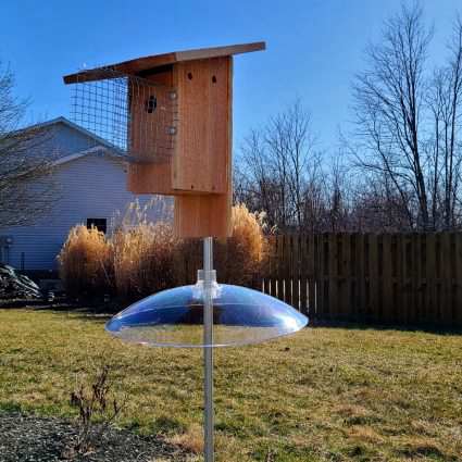 DIY Cedar Bluebird House