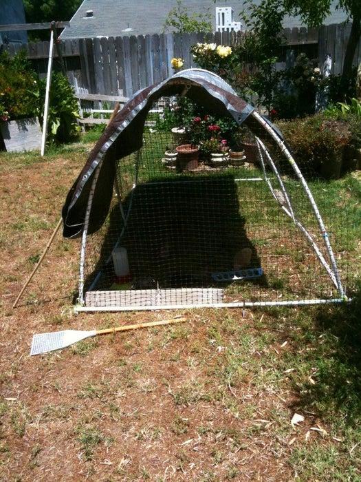 DIY Chicken Cage