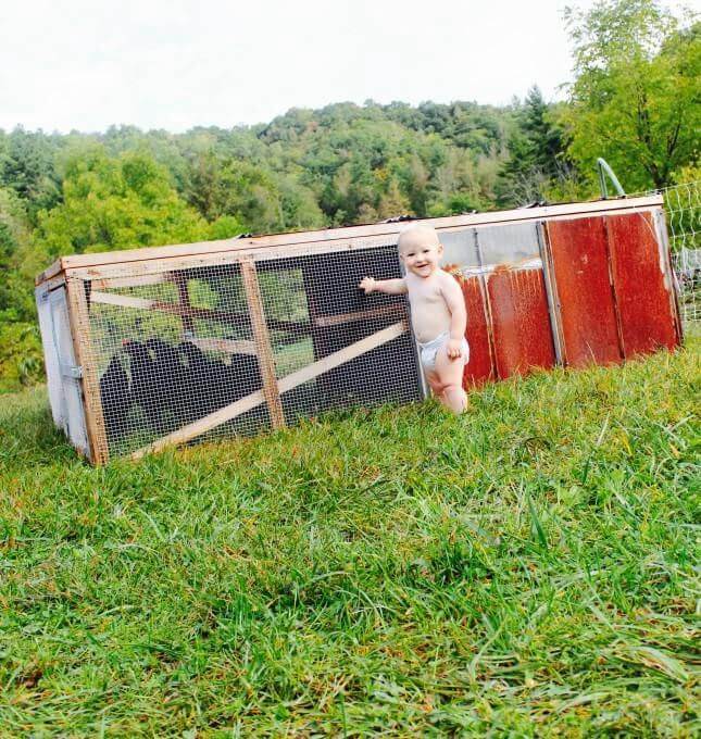 DIY Chicken Tractor For Less Than $200