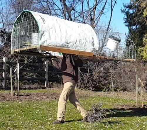 DIY Chicken Tractor