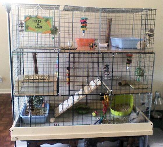 DIY Cube Rabbit Cage