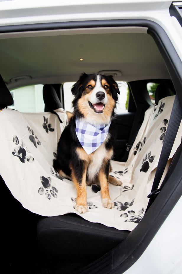 DIY Dog Car Seat Cover