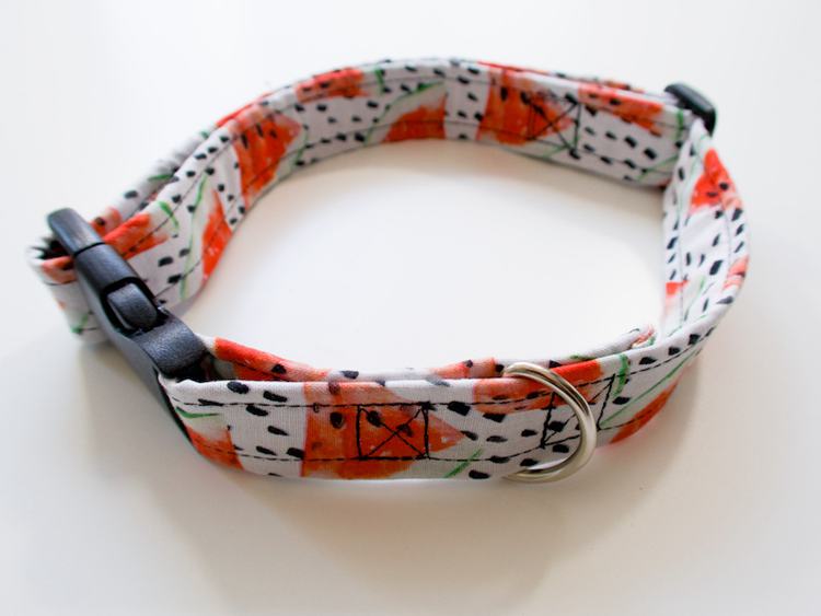 DIY Dog Collar Tutorial