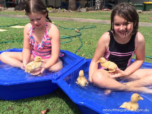 DIY Duck Pond Using Recycled Materials