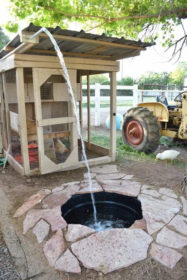 DIY Easy Drain Duck Pond