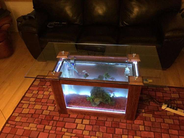 DIY Fish Tank Coffee Table