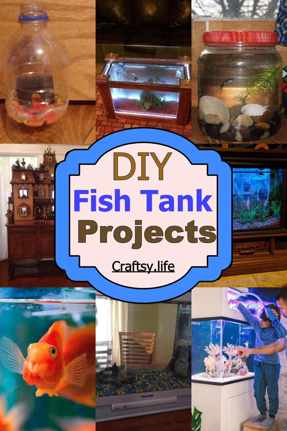DIY Fish Tank Projects 