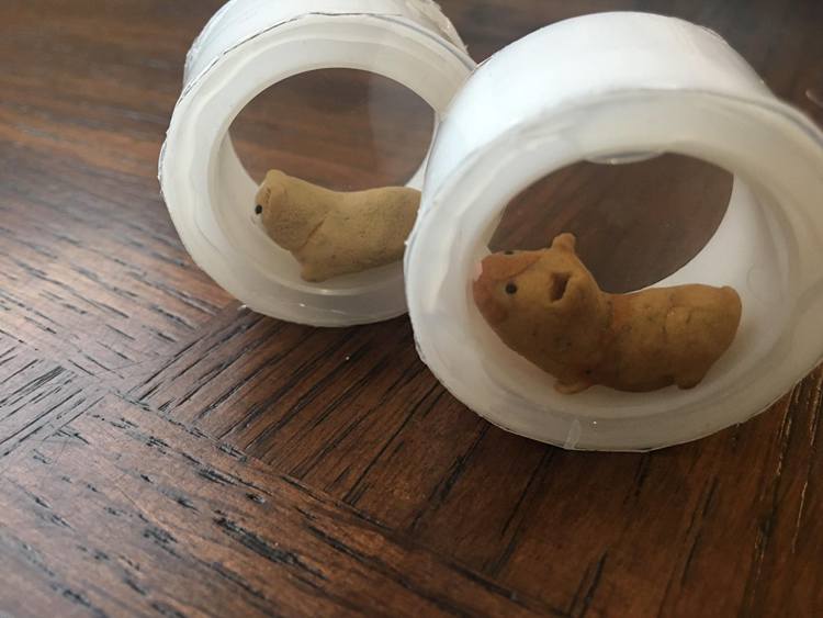 DIY Hamster Race Toy