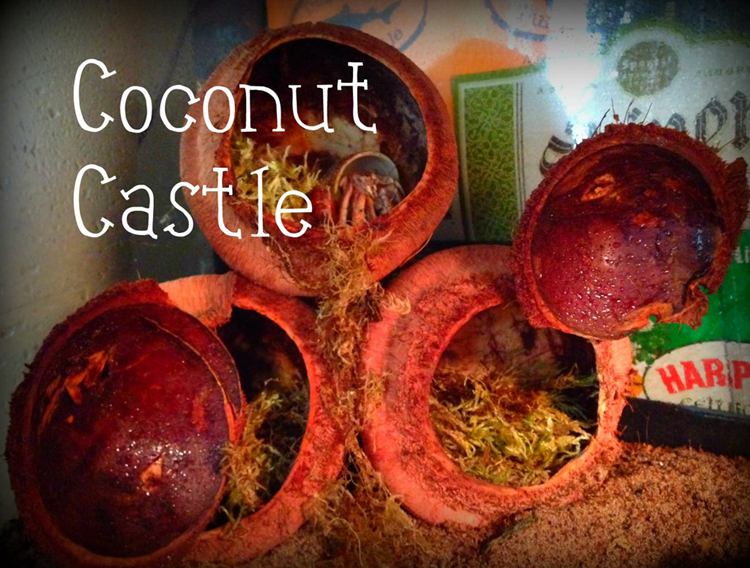 Hermit Coconut Castle