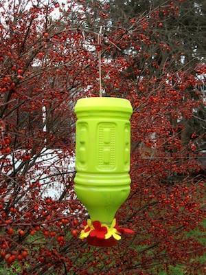 Bottle Feeder for birds