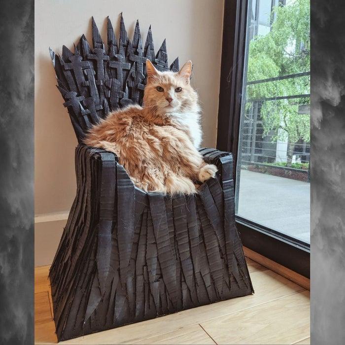  DIY Iron Throne Cat Bed