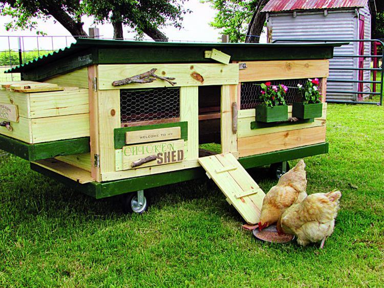 DIY Mobile Chicken Tractor Plan