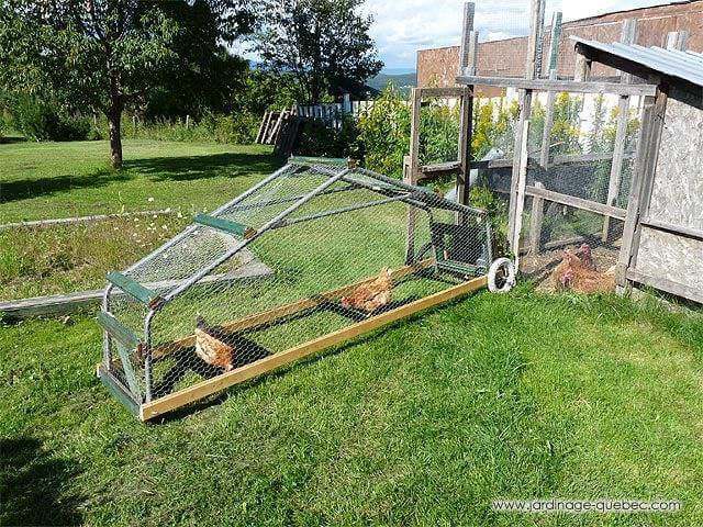 DIY Mobile Chicken Tractor