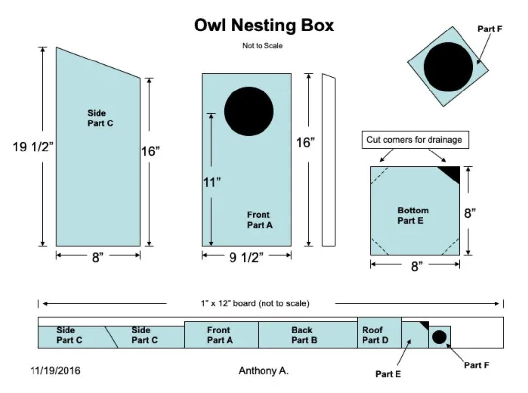 Owl Home Build