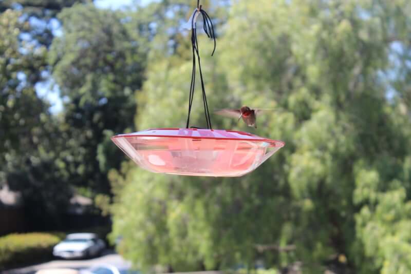 Saucer Feeder