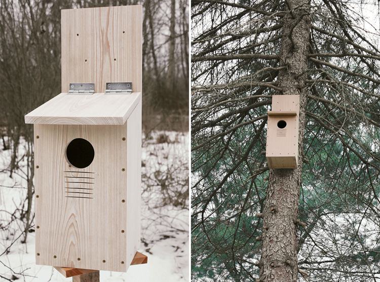 DIY Screech Owl Nest Box Build