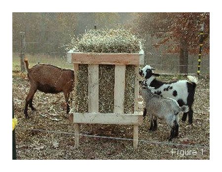 DIY Square Bale Goat Hay Feeder Plans