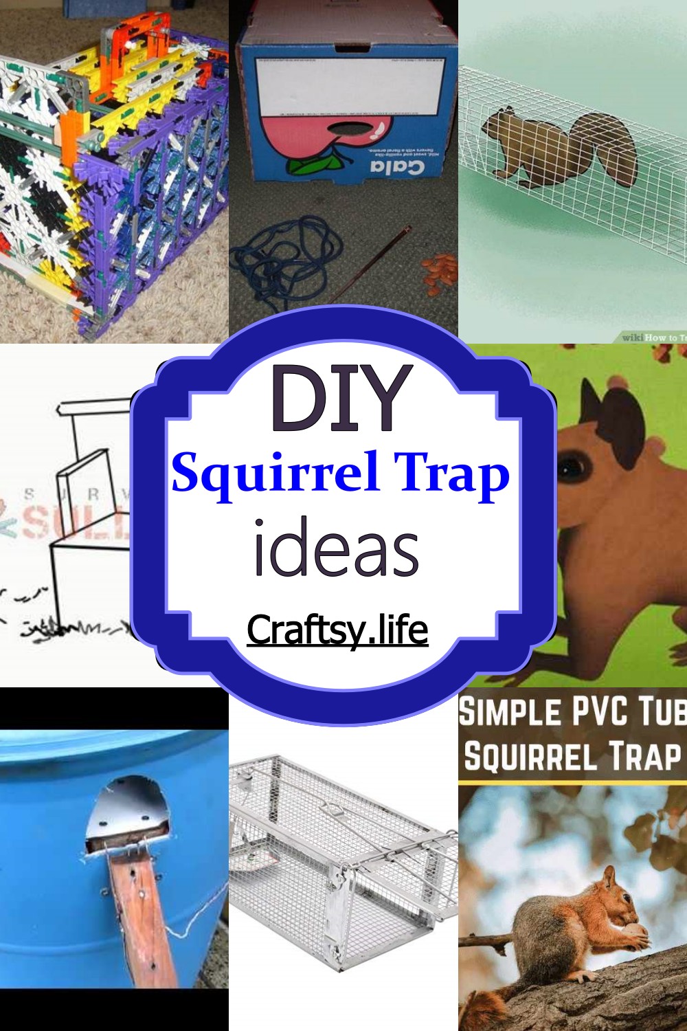 DIY Squirrel Trap