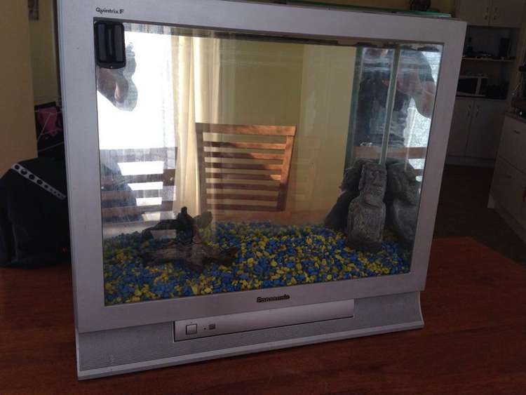 DIY TV Fish Tank