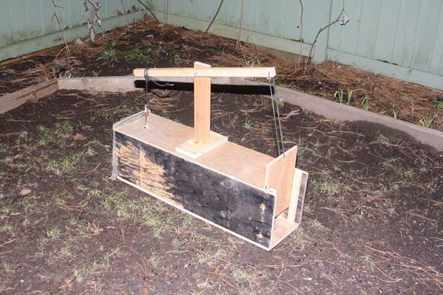 DIY Trap For Squirrels
