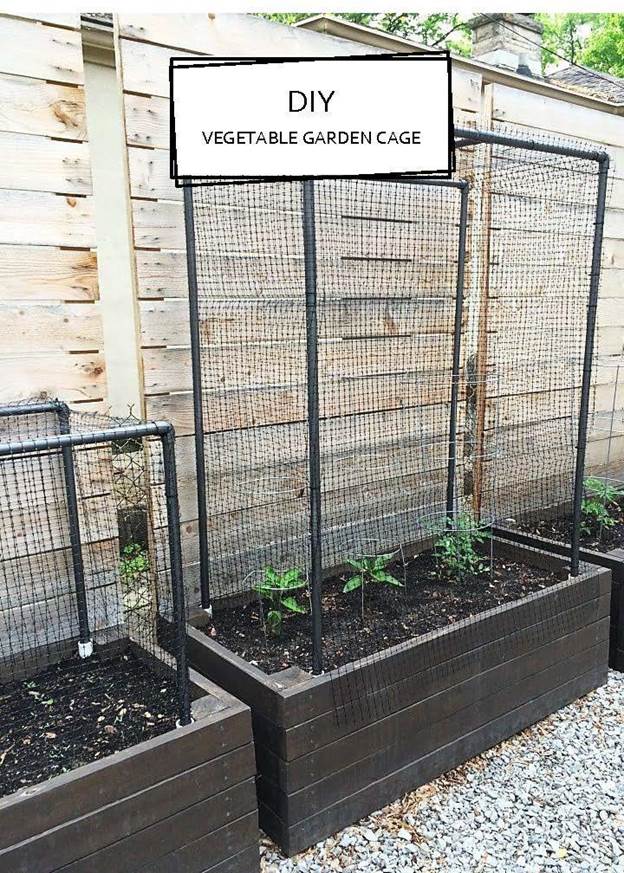 DIY Vegetable Garden Cage