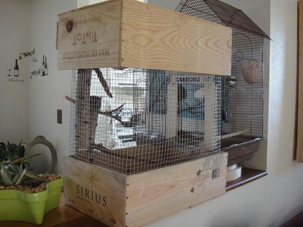 Wine Box Bird Cage