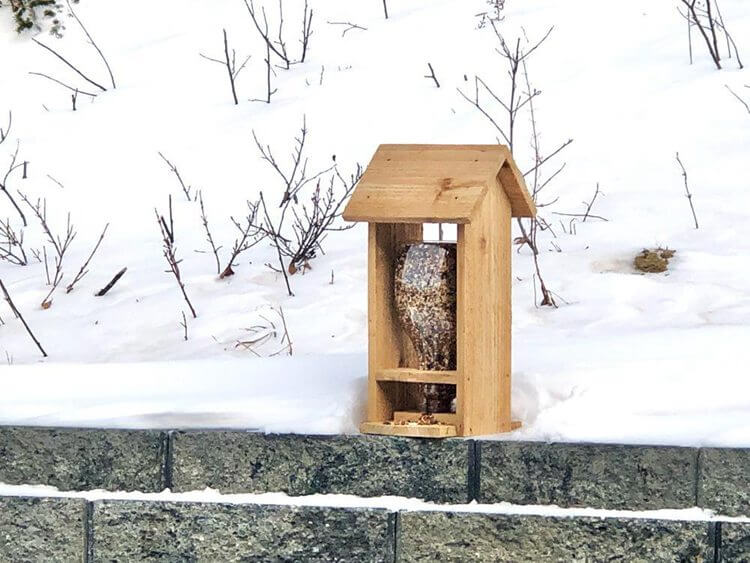 DIY Wooden Bird Feeder